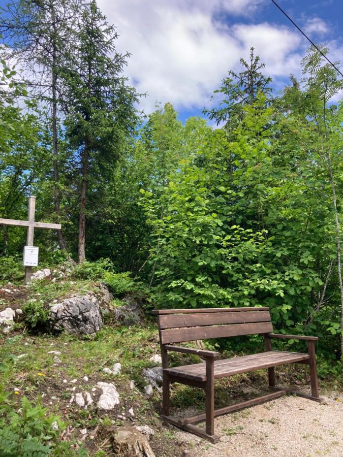 Das Schutzhaus-Bed And Breakfast-Dein Basislager Im Salzkammergut Bad Aussee Bagian luar foto